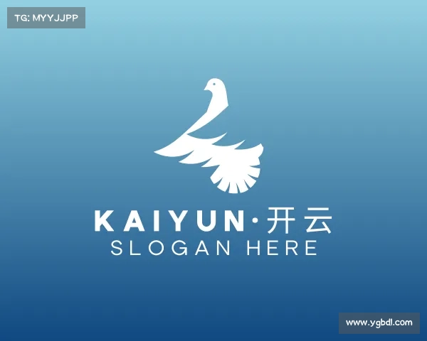 认识kaiyun·开云